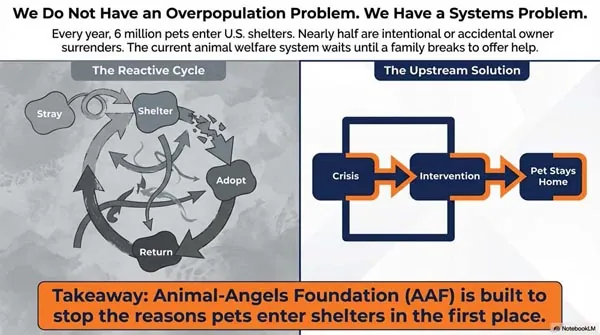 The Prevention Blueprint: The Shelter Crisis