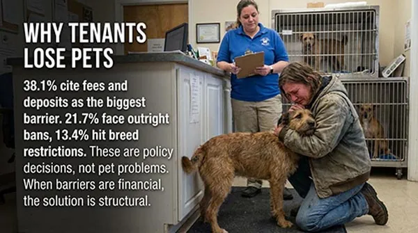 Why Tenants Lose Pets - 38.1% cite fees and deposits, 21.7% face outright bans, 13.4% hit breed restrictions